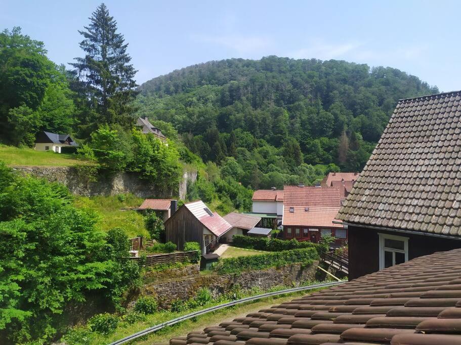Haus Am Wald Zorge 16+ Gaeste Walkenried Extérieur photo
