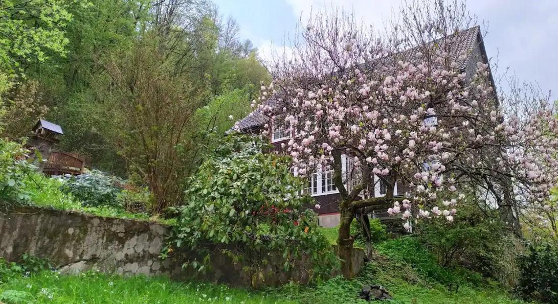 Haus Am Wald Zorge 16+ Gaeste Walkenried Extérieur photo