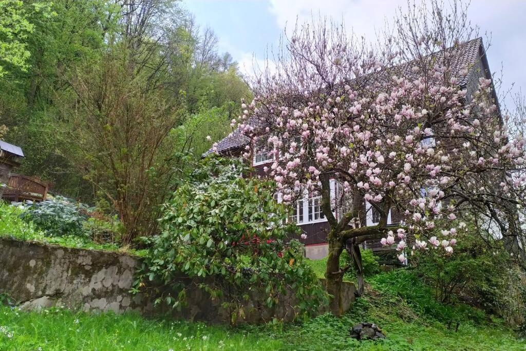 Haus Am Wald Zorge 16+ Gaeste Walkenried Extérieur photo