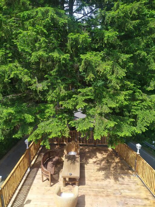 Haus Am Wald Zorge 16+ Gaeste Walkenried Extérieur photo