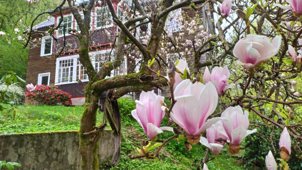 Haus Am Wald Zorge 16+ Gaeste Walkenried Extérieur photo